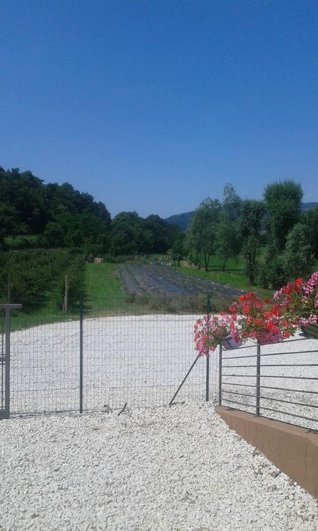 Terra E D'iseo Franciacorta * Paratico