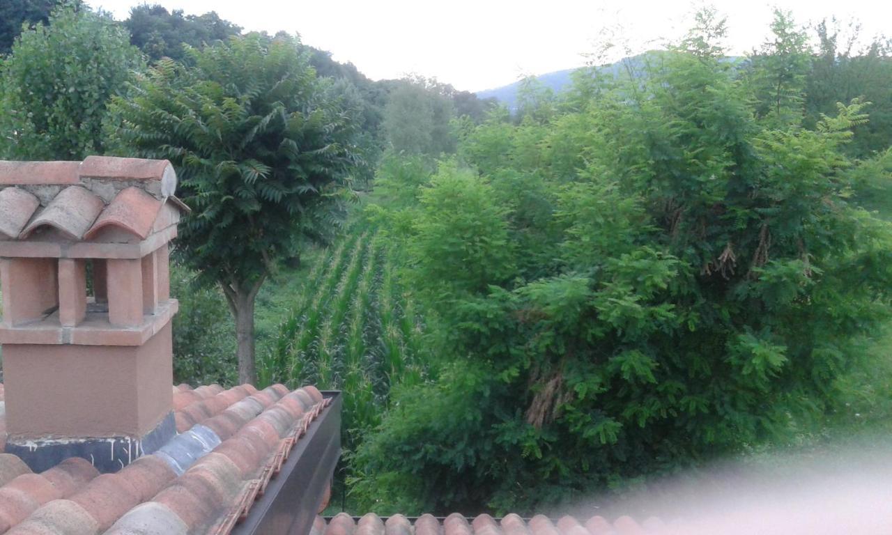 Terra E D'iseo Franciacorta * Paratico