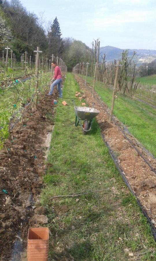 Vakantieboerderij Terra E D'iseo Franciacorta