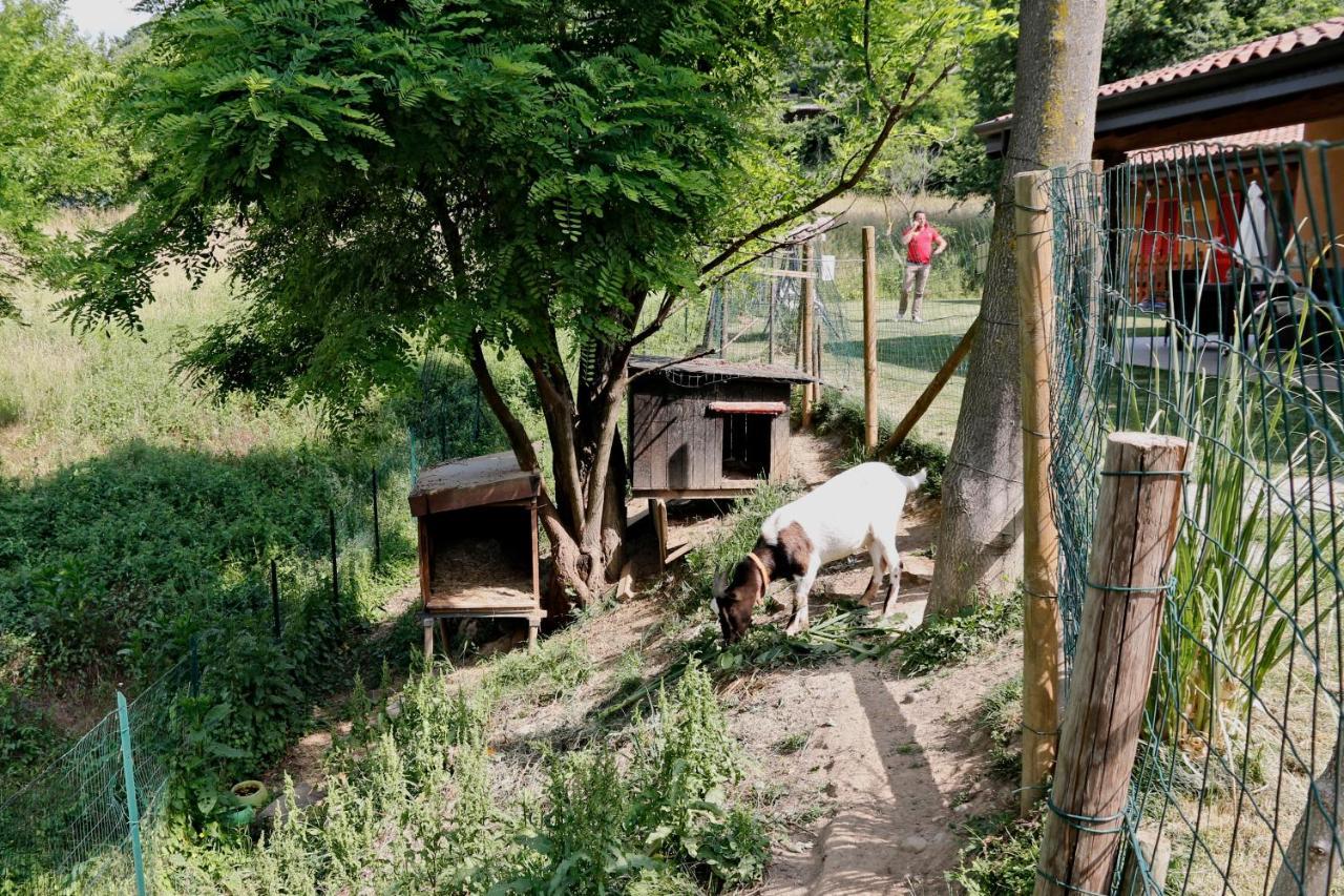Séjour à la ferme Terra E D'iseo Franciacorta