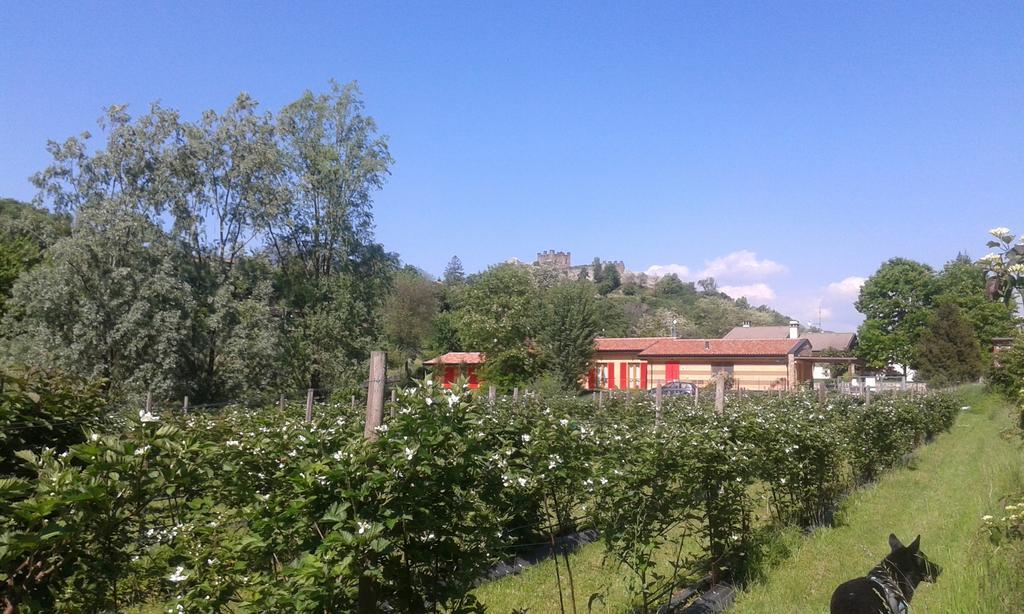 Terra E D'iseo Franciacorta *
