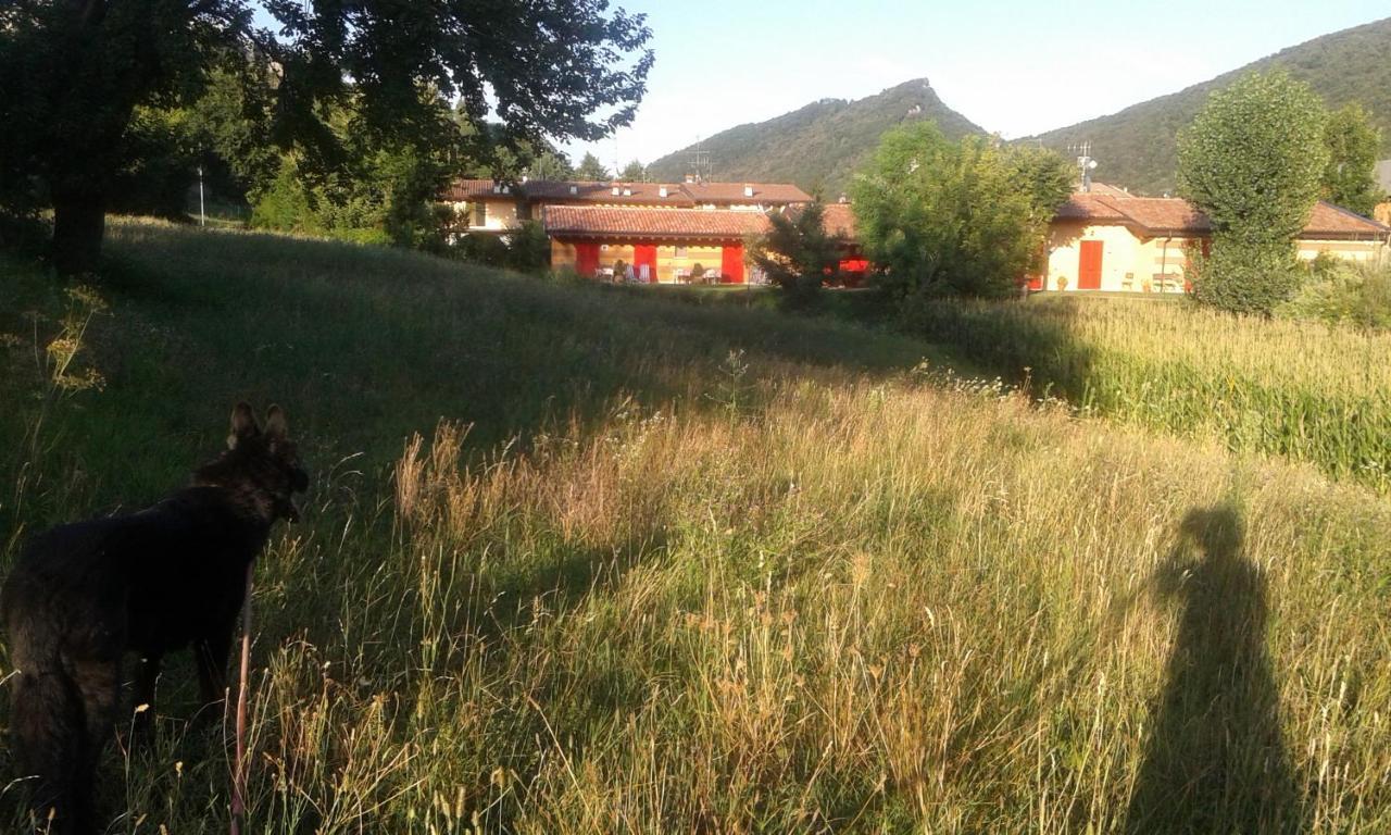 Séjour à la ferme Terra E D'iseo Franciacorta *